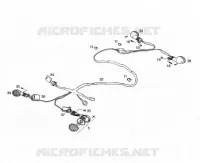 ELECTRISCH HOMOLOG