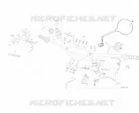 HOMOLOG KIT