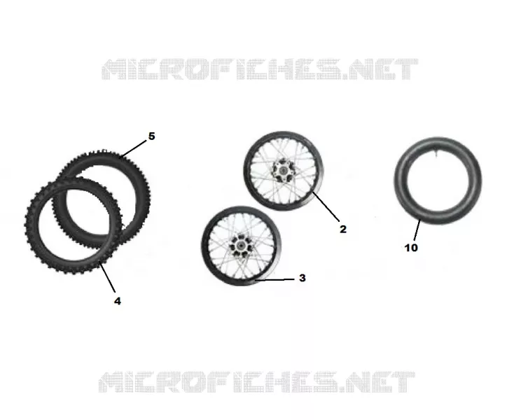 WIEL / BAND T10 / T12